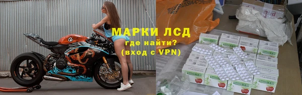 индика Богданович