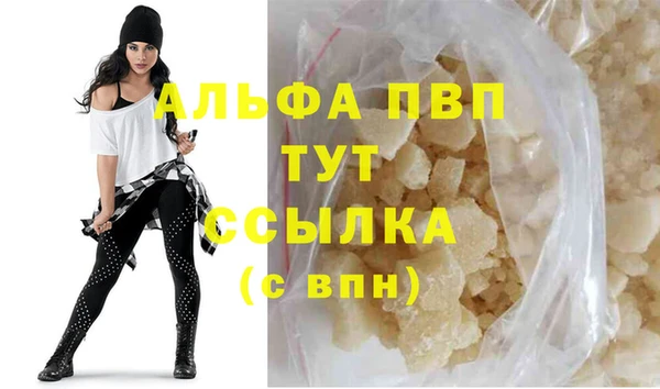 индика Богданович