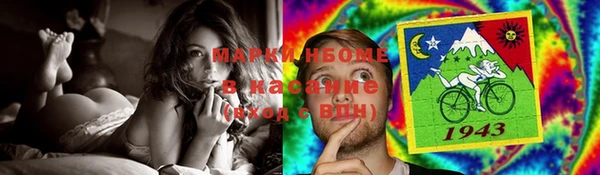 шишки Богородицк