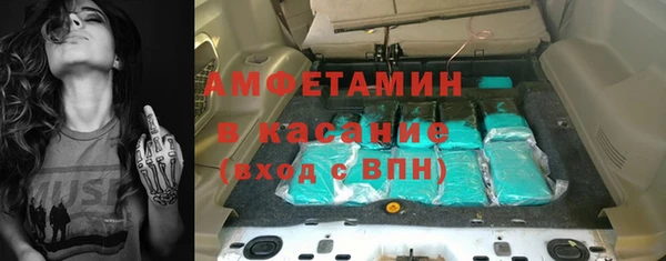 индика Богданович