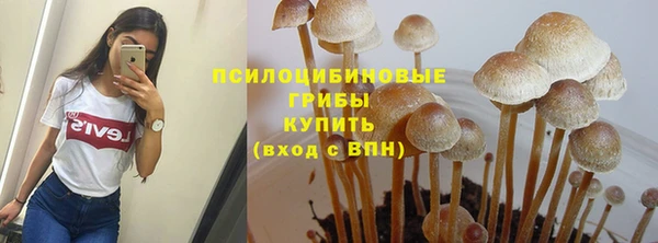 индика Богданович
