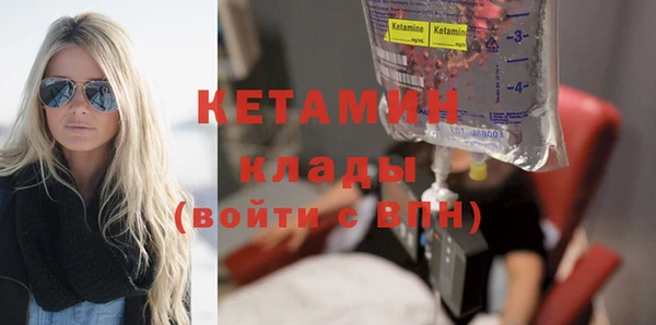 шишки Богородицк