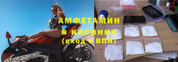 индика Богданович