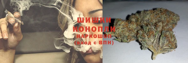 шишки Богородицк