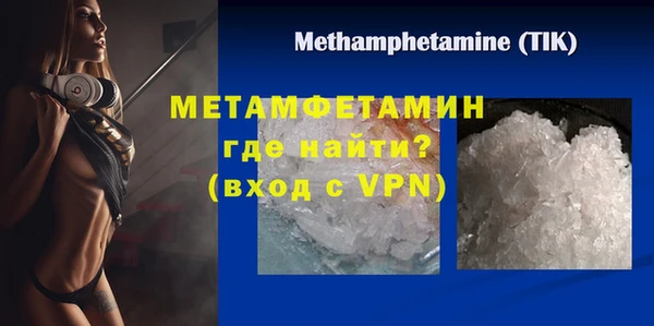 индика Богданович