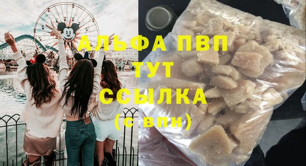 индика Богданович