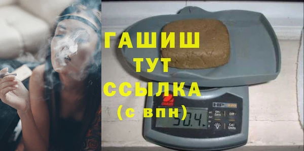 индика Богданович