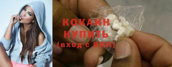 шишки Богородицк