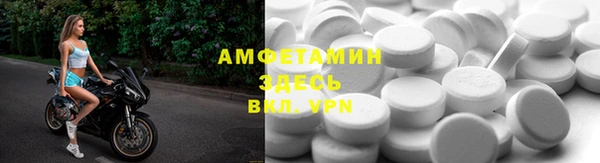 индика Богданович