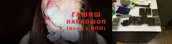 индика Богданович