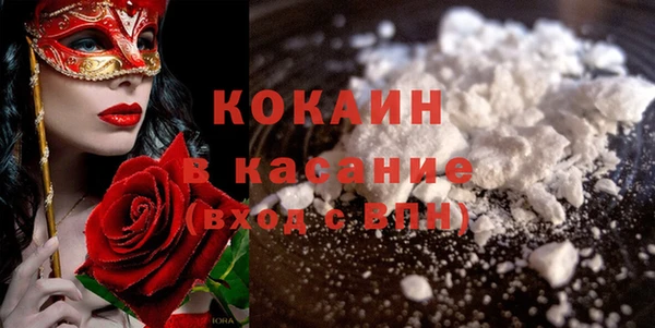 шишки Богородицк