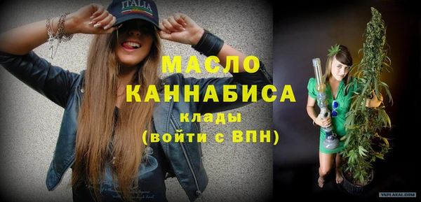индика Богданович