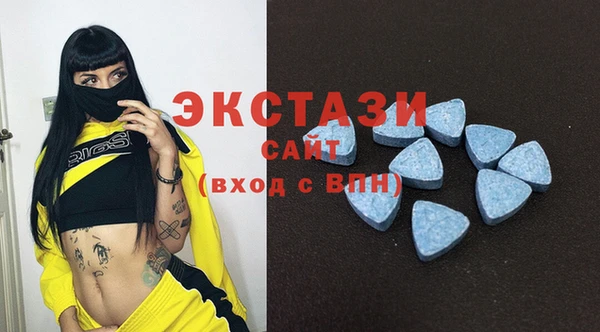 шишки Богородицк