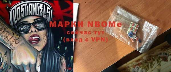 индика Богданович