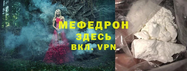 индика Богданович