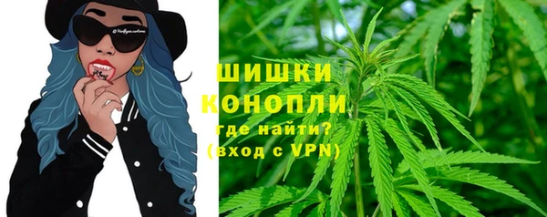 индика Богданович