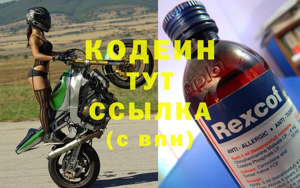 шишки Богородицк