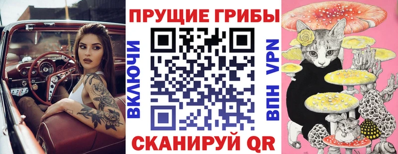 Галлюциногенные грибы Psilocybe ОМГ ОМГ маркетплейс Духовщина